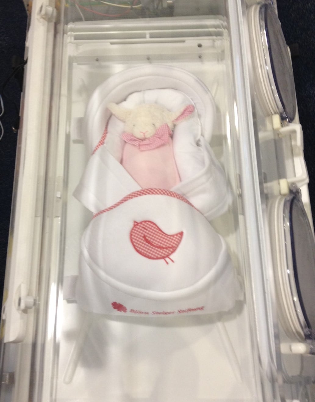 Baby-Notarztwagen, Traveler RS